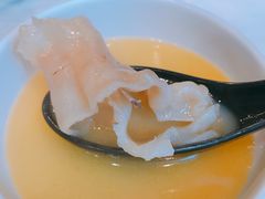 花胶-鲜入围煮花胶鸡海鲜火锅