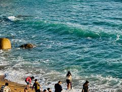 -广东惠东海龟国家级自然保护区