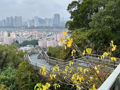 -福道
