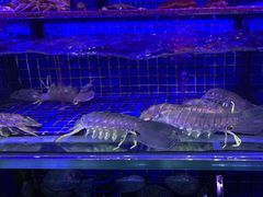 -青蓬蒸汽海鲜·深圳老字号·团建聚会(壹方城店)
