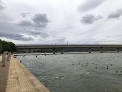 -伯利·格里芬湖