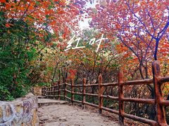 -龙洞风景区-藏龙涧