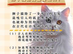 -FAELING PETS美天灵宠物(合生汇店)