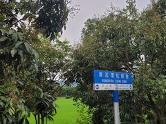 -艾米稻香小镇