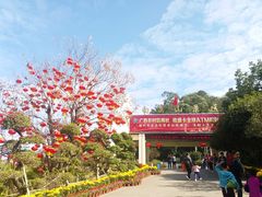 -白云山风景名胜区