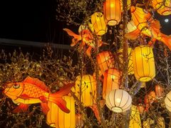 -龙湖星悦荟(颐和店)