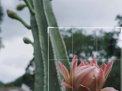 -MOJ coffee(瓯海泽雅水碓坑店)