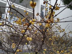 -江南大学(蠡湖校区)