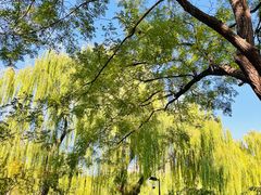 -丰台花园