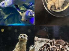 -太平洋海底世界