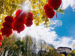 -宗角禄康公园