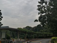 -圣淘沙天际线斜坡滑车