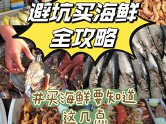 -渡海小渔村.老辈日照菜