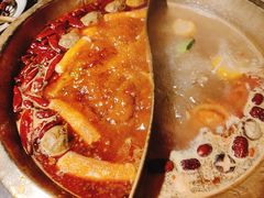 红白鸳鸯-小龙坎老火锅(滨江店)