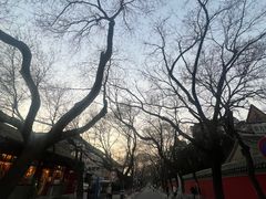 -北京国子监胡同