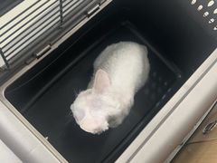 -美联众合动物医院·24h京西诊疗中心