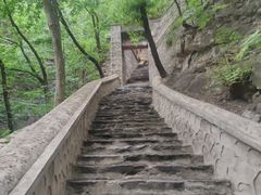 -北京上方山国家森林公园