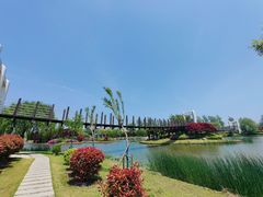 -上海鲜花港