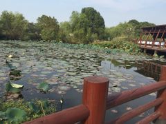 -长兴太湖图影湿地文化园
