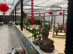 -西部兰花园生态园