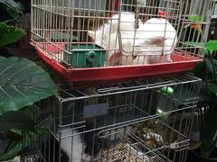 -锦尚阁烤鱼•天津菜(宣武门胡同店)