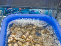 -加餐海鲜自助(宝龙一城店)