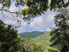 -阳台山森林公园