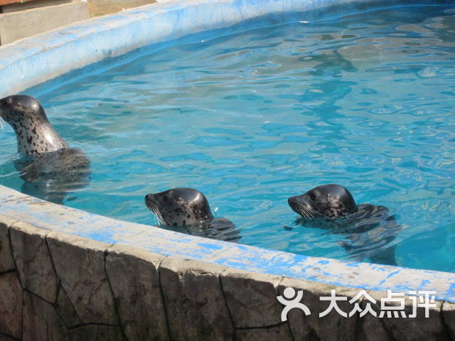 蠡湖中央公园海底世界