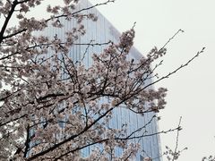 -苏州现代传媒广场商业
