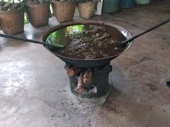 -大象粑粑造纸公园