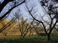 -同里国家湿地公园
