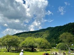 -大水川景区