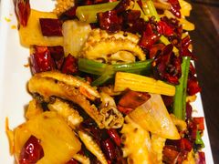 -福苗小骆驼烧烤(大唐不夜城店)