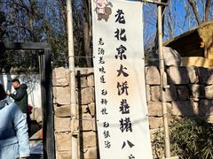 -辛庄国际文化艺术区