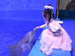 -华夏文旅海洋公园