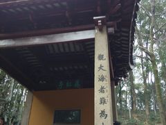 -灵岩山风景区