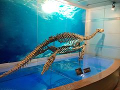 -自贡恐龙博物馆