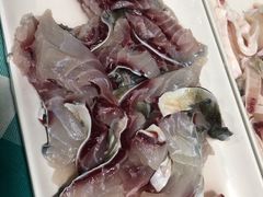 脆鲩鱼片-中山脆肉鲩(新圳东路店)