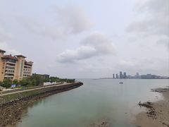 -万绿园