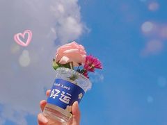 -萨芭蒂高空花园餐酒吧