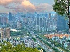 -板樟山森林公园