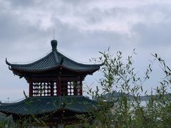 -江南天池