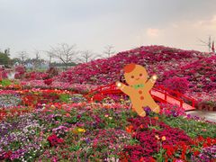 -盈香心动乐园