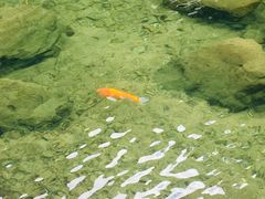 -宁波五龙潭景区