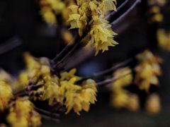 -华东政法大学(松江校区)