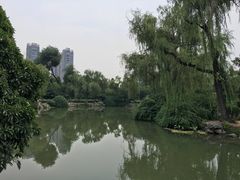 -西苑公园