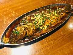 -95号酱骨·一块豆腐(展春园西路店)