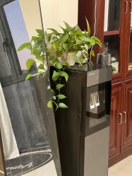 -演员的秘密·皮肤管理