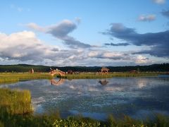 -塞罕坝国家级自然保护区