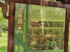 -洛阳市隋唐城遗址植物园